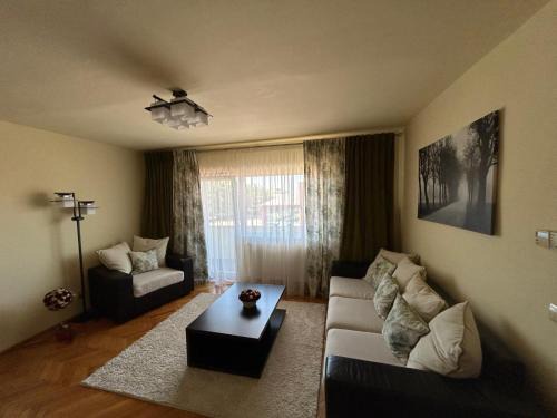 Lugoj Apartment | Apartament in Lugoj Gabriela