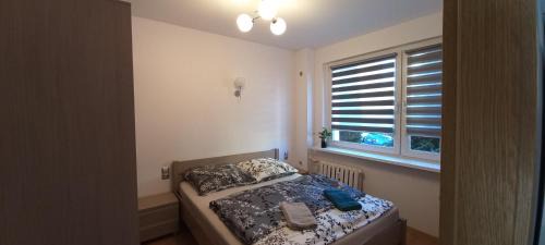 Siemianowice Slaskie Apartment | Perfect Getaway at Apartament JUKI Near Katowice