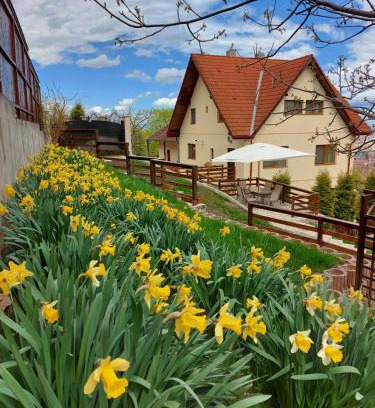 Brasov Apartment | Top-Rated Family-Friendly Stay at Apartament Matei