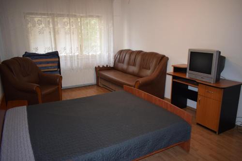 Baia Mare Apartment | Pet-Friendly Apartment Modest Traian: Family-Ready Comfort