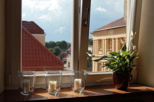 Sandomierz Apartment | Pet-Friendly Apartament na Małym Rynku - 10/10 Rated Stay