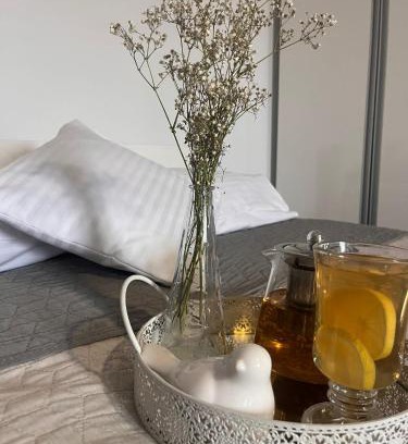 Pszczyna Apartment | Pet-Friendly Apartament Na Starówce VII - Rated 9.4/10
