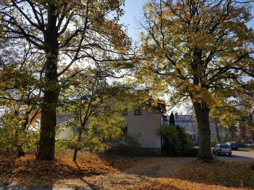 Koscierzyna Apartment | Inviting Apartment nr 3 w Starym Nadleśnictwie - Pet Friendly