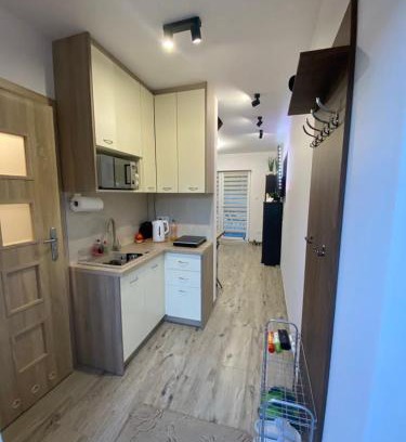 Konskie Apartment | Apartament pod sosenką Sielpia Wielka