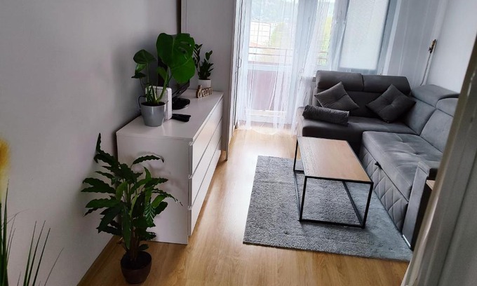 Sanok Apartment | Pet-Friendly Apartament Sweet Dreams with Top Guest Ratings