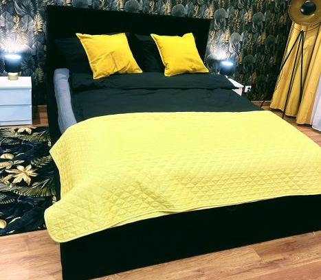 Przemysl Apartment | Exceptional Stay at Apartament Tatarska 6 - Pet Friendly