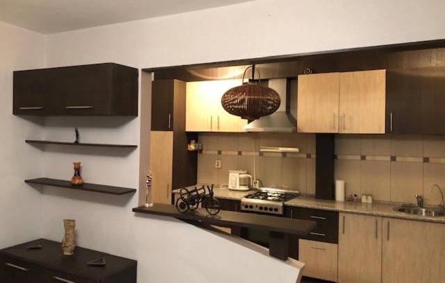 Arad Apartment | Pet-Friendly Samantha Apartment in Polivalenta, Arad