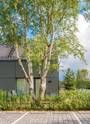 Dzwirzyno Villa | Relaxing Stay at SurfingBird Villa with Garden in Dźwirzyno