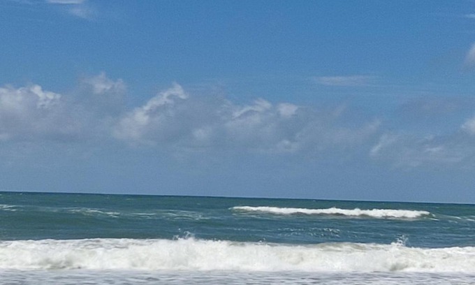 Praia do Ervino Apartment | Beachfront Apartment at Praia do Ervino - Pet Friendly Stay