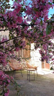 Teruel Apartment | Inviting Apartamento Bajo Los Arcos: Pet & Child Friendly