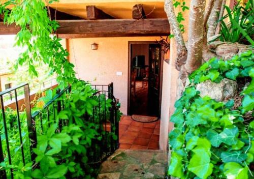 Montsonis Apartment | Explore Cal Martí: Pet Friendly with Family-Friendly Amenities