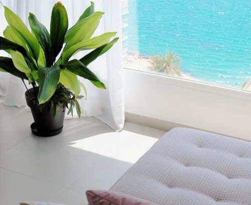 L'Albufereta Apartment | Oceanfront Apartment with Breathtaking Sea Views