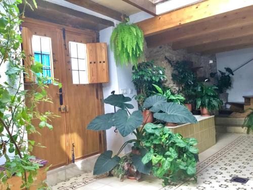 La Catedral Apartment | Pet-Friendly Comfort at Casa Patio "Pan y Conejo" - 9.5/10
