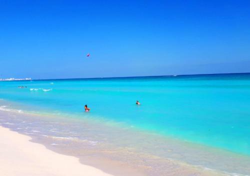 Alfredo V. Bonfil Apartment | Beachfront Apartment in Cancun with Pool & Ocean Views