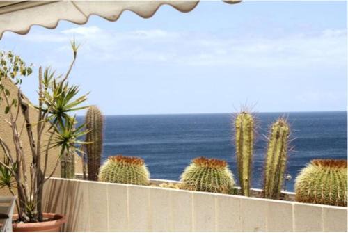 Radazul Apartment | Oceanfront Apartment with Ocean View & High Guest Ratings