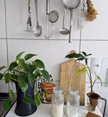 Vargem do Bom Jesus Apartment | Apartamento inteiro