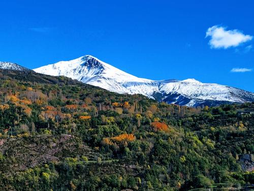 Villanova Apartment | Child-Friendly Apartamento Laera with 9.7/10 Guest Rating
