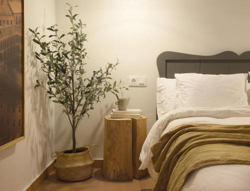 Tarazona Apartment | Prime Family Haven in Tarazona Centro - Rated 9.2/10