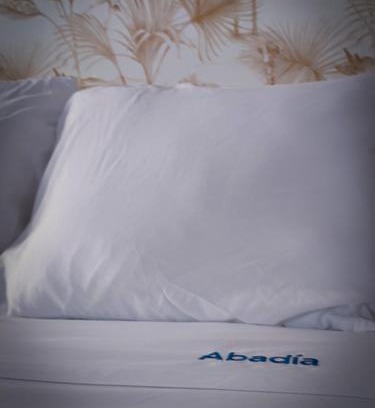Corella Apartment | Accessible Comfort at Apartamentos Abadía - Rated 9.4/10