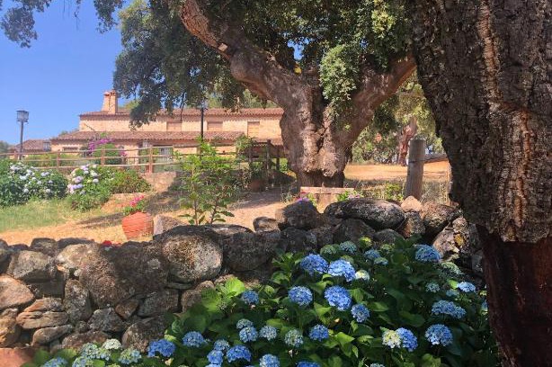 Valencia de Alcantara Apartment | Pet-Friendly Retreat at Apartamentos Rurales La Macera