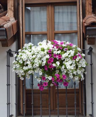 Ezcaray Apartment | Family-Friendly Stay at Apartamentos La Buhardilla - 9.2/10