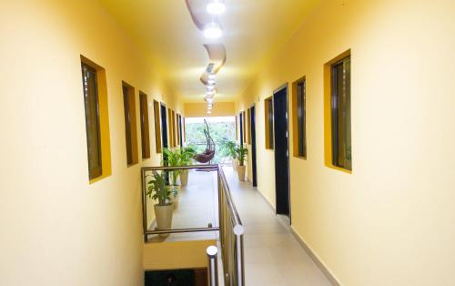 Palenque Apartment | APARTAMENTOS MICHAEL