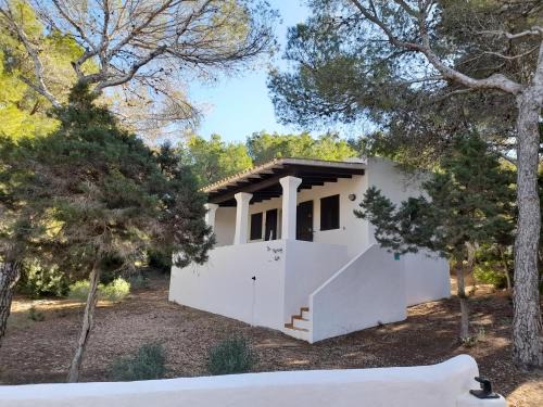 Calo de Sant Agusti Apartment | Family-Friendly Apartamentos Noray with High Guest Ratings