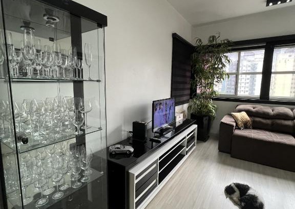 Gonzaga Apartment | Pet-Friendly Apartments with Ocean View in Santos SP