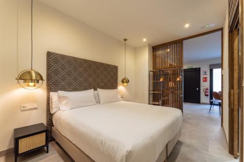 Merida Old Town Apartment | Family-Friendly Apartamentos GÁLEA with Pet Amenities