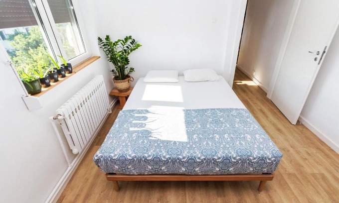 Doua Mai Apartment | 10/10 Rated Plant Apartment: Perfect for Families