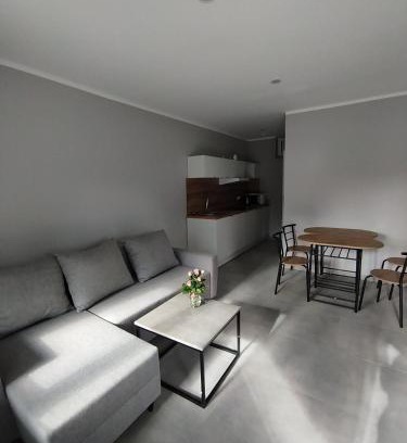 Dlugie Apartment | Relaxing Lakefront Apartments with Family and Pet Friendly Amenities