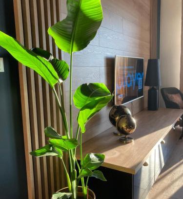 Uniejow Apartment | Guest Rated: 9.8 at Apartamenty Termalne GREEN Apartment