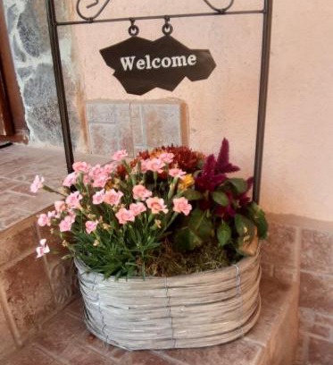 Velky Slavkov Apartment | Discover Apartmán Anna: Pet-Friendly Retreat Rated 9/10