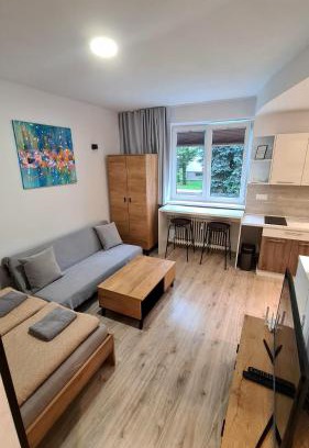 Banska Bystrica Apartment | Cozy Aparmán BB-Centrum2: Pet-Friendly Family Retreat