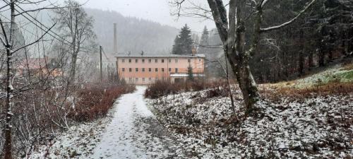 Korenov Apartment | Family-Friendly Stay at Apartmán Kořenov in Nature's Heart
