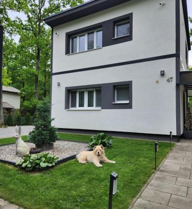 Sastin Apartment | Pet-Friendly Oceanfront Apartment Kocka with Hot Tub
