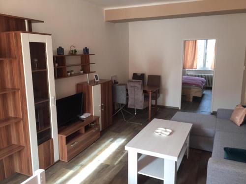 Usti nad Labem Apartment | Pet-Friendly Comfort at Apartmán Melody - Rated 9.3/10