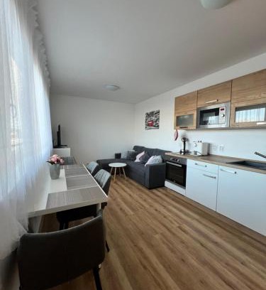 Cerna V Posumavi Apartment | Pet-Friendly Apartmán Roda2 in Scenic Malé Lipno