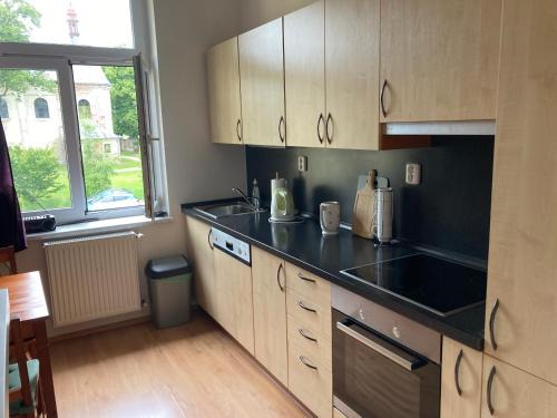 Rudnik u Vrchlabi Apartment | Apartmán Ski & Bike U Myšáka