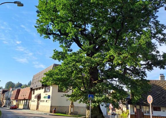 Jablonne nad Orlici Apartment | Family-Friendly Retreat at Apartmán U Dubu – Rated 9/10