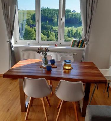 Orlicke Zahori Apartment | Pet-Friendly Retreat at Apartmán u Kunštátského mlýna
