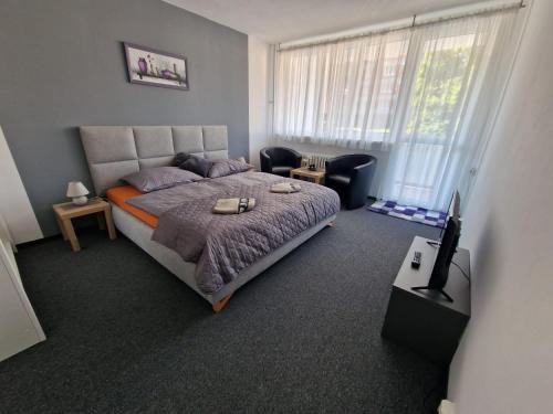 Karlovy Vary Apartment | Family-Friendly Stay at Apartmán U Petra - 8.4/10 Rated