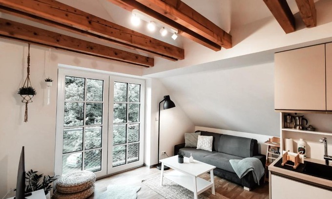 Ricky v Orlickych horach Apartment | Cozy Loft Apartment with Top Guest Ratings and Comfort