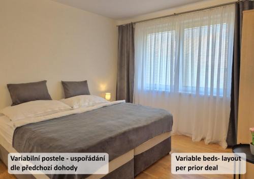 Ivan Apartment | Discover Apartmán Vital na Pálavě - Family-Friendly Retreat