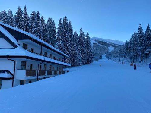 Jasna Apartment | Unforgettable Stay at APARTMÁNY BIELA PÚŤ - 10/10 Guest Rated