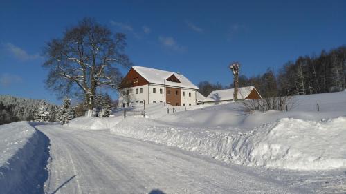 Lucany nad Nisou Apartment | Child-Friendly Retreat at APARTMÁNY NA VÝSLUNÍ - 10/10 Rated