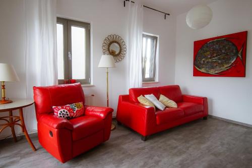 Seca Apartment | Explore Comfort at Apartma Metis: Pet-Friendly Retreat