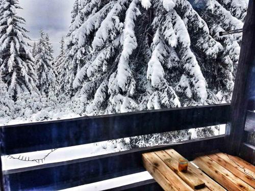 Zrece Apartment | Family-Friendly Apartments in Zreče, Slovenia Await You