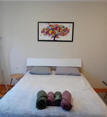 Zajecar Apartment | Child-Friendly Apartman A-1 with 9.7/10 Guest Rating