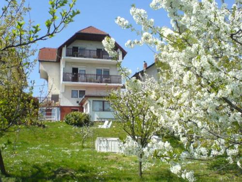 Heviz Apartment | Family-Friendly Stay at Apartman Berki with Kitchen Access
